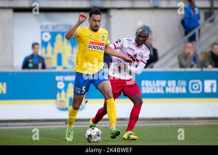 Nacer Chadli von Westerlo und Ravi Tsouka von Essevee in Aktion bei einem Fußballspiel zwischen KVC Westerlo und SV Zulte Waregem, Samstag, 01. Oktober 2022 in Westerlo, am 10. Tag der ersten Division der belgischen Meisterschaft 2022-2023 in der 'Jupiler Pro League'. BELGA FOTO KRISTOF VAN ACCOM Stockfoto