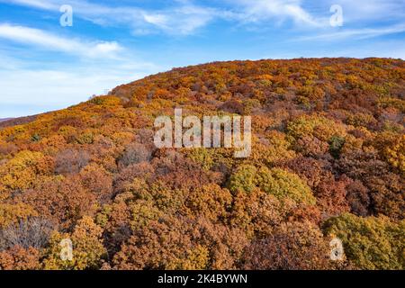 Luftaufnahme des höchsten Laubs in New Jersey während der Herbstzeit. Stockfoto