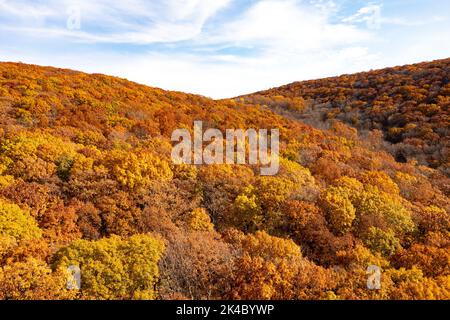 Luftaufnahme des höchsten Laubs in New Jersey während der Herbstzeit. Stockfoto