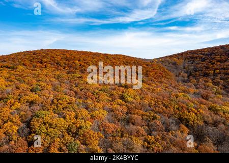 Luftaufnahme des höchsten Laubs in New Jersey während der Herbstzeit. Stockfoto