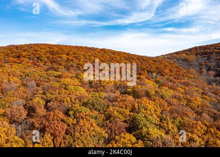 Luftaufnahme des höchsten Laubs in New Jersey während der Herbstzeit. Stockfoto