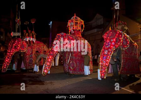 KANDY, SRI LANKA - 25. AUGUST 2015 : Ein Trio von feierlichen Elefanten zieht während der buddhistischen Esala Peraher durch die Straßen von Kandy in Sri Lanka Stockfoto