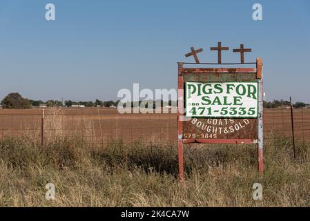 Ein Schild mit drei Kreuzen über der Oberseite liest Schweine zum Verkauf Ziegen gekauft und verkauft. Stockfoto