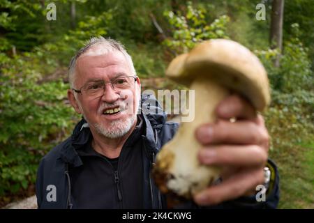 Vallendar, Deutschland. 27. September 2022. Der Pilz-Experte Helmut Kolar hat einen Steinpilz gefunden. Nach dem häufigen Regen im September besteht Hoffnung auf eine gute Saison mit essbaren Pilzen. (Für dpa erwarten Experten eine gute Pilzsaison trotz langer Dürre) Quelle: Thomas Frey/dpa/Alamy Live News Stockfoto