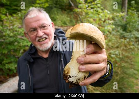 Vallendar, Deutschland. 27. September 2022. Der Pilz-Experte Helmut Kolar hat einen Steinpilz gefunden. Nach dem häufigen Regen im September besteht Hoffnung auf eine gute Saison mit essbaren Pilzen. (Für dpa erwarten Experten eine gute Pilzsaison trotz langer Dürre) Quelle: Thomas Frey/dpa/Alamy Live News Stockfoto