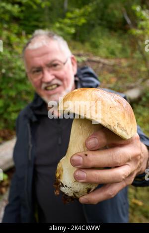 Vallendar, Deutschland. 27. September 2022. Der Pilz-Experte Helmut Kolar hat einen Steinpilz gefunden. Nach dem häufigen Regen im September besteht Hoffnung auf eine gute Saison mit essbaren Pilzen. (Für dpa erwarten Experten eine gute Pilzsaison trotz langer Dürre) Quelle: Thomas Frey/dpa/Alamy Live News Stockfoto