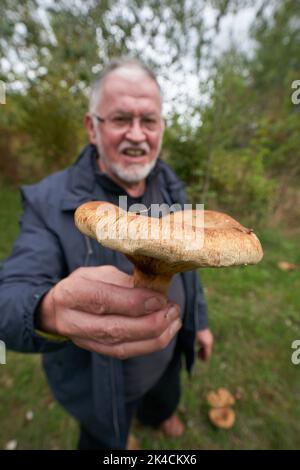 Vallendar, Deutschland. 27. September 2022. Pilzexperte Helmut Kolar hat einen nicht essbaren Pilz der Art Kahler Krempling gefunden. Nach dem häufigen Regen im September besteht Hoffnung auf eine gute Saison mit essbaren Pilzen. (Für dpa erwarten Experten eine gute Pilzsaison trotz langer Dürre) Quelle: Thomas Frey/dpa/Alamy Live News Stockfoto