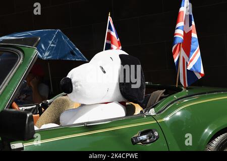 Grün antik Triumph 1500 Spitfire. Stockfoto