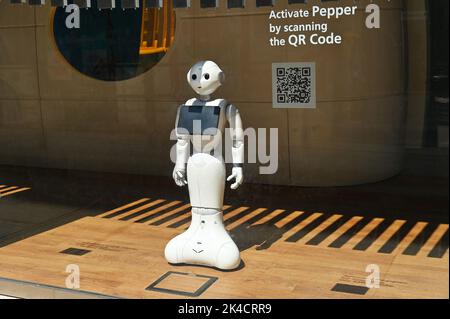 Eine Nahaufnahme des weißen Pepper-Roboters in einer Bank, um Kunden bei Finanzdienstleistungen in Turin, Italien, zu unterstützen Stockfoto