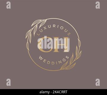 CH Initialen Brief Hochzeit Monogramm Logos Vorlage, handgezeichnete moderne minimalistische und florale Vorlagen für Einladungskarten, Save the Date, elegant Stock Vektor