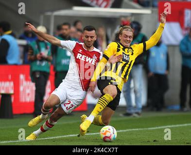 Köln, Deutschland. 01. Oktober 2022. Der Kölner Sargis Adamyan (L) und der Dortmunder Julian Brandt (R) im Einsatz beim Bundesliga-Fußballspiel zwischen dem FC Köln und Borussia Dortmund in Köln. (Endnote: Köln 3:2 Borussia Dortmund) Credit: SOPA Images Limited/Alamy Live News Stockfoto