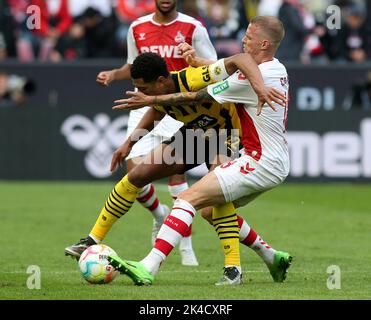 Köln, Deutschland. 01. Oktober 2022. Der Kölner Ondrej Duda (R) und der Dortmunder Jude Bellingham (L) im Einsatz während des deutschen Bundesliga-Fußballspieles zwischen dem FC Köln und Borussia Dortmund in Köln. (Endnote: Köln 3:2 Borussia Dortmund) (Foto: Osama Faisal/SOPA Images/Sipa USA) Quelle: SIPA USA/Alamy Live News Stockfoto