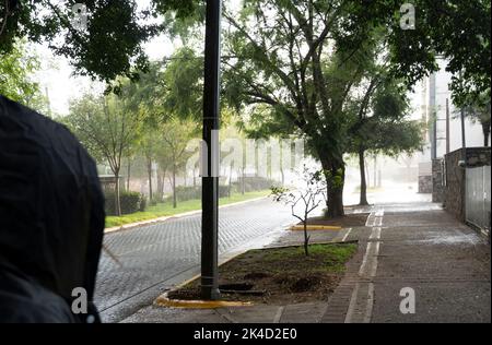 Junge Frau, die den starken Regen unter einem Baum geschützt beobachtet und darauf wartet, dass der Regen nachlässt, Mexiko Stockfoto