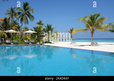Die Sonnenliegen mit Palmen am Pool. Stockfoto