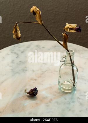 Eine Glasvase mit verwelkten Blumen auf einem Tisch in einem Haus Stockfoto