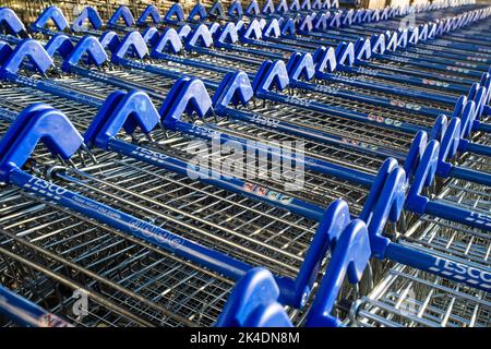 Castle Douglas, Dumfries & Galloway, Schottland, September 24. 2022, Nahaufnahme der Tesco Einkaufswagen im Supermarkt. Stockfoto