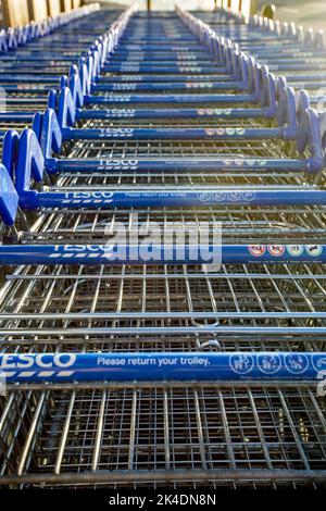 Castle Douglas, Dumfries & Galloway, Schottland, September 24. 2022, Nahaufnahme der Tesco Einkaufswagen im Supermarkt. Stockfoto