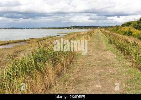 Pfad entlang der Hochwasserschutzmauer River Deben, Sutton, Suffolk, England, Großbritannien Stockfoto