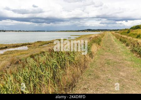 Pfad entlang der Hochwasserschutzmauer River Deben, Sutton, Suffolk, England, Großbritannien Stockfoto