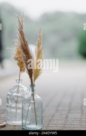 Hochzeitsdekor, flauschiges Schilf in einem Glas draußen Stockfoto