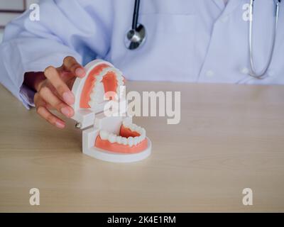 Nahaufnahme Zahnmodell, offener Kiefer und Halten durch die Hand der Zahnärztin auf Holztisch im Büro mit Kopieplatz. Zahnpflege und gesunde Zähne. Stockfoto