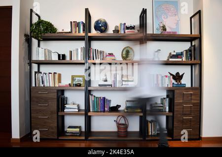Bücherregal aus Metall und Holz, mit Schubladen Person vor der Tür Stockfoto