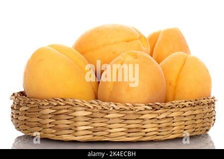 Mehrere reife Ananas-Aprikosen in einer Strohplatte, Nahaufnahme, isoliert auf Weiß. Stockfoto