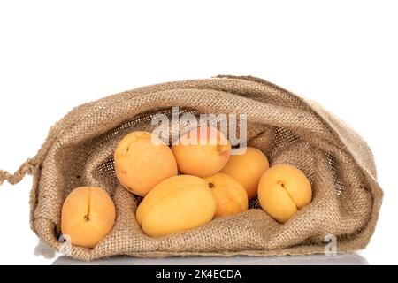 Mehrere reife Ananas-Aprikosen in einem Jutebeutel, Makro, isoliert auf Weiß. Stockfoto