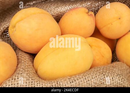 Mehrere reife Ananas-Aprikosen in einem Jutebeutel, Makro. Stockfoto