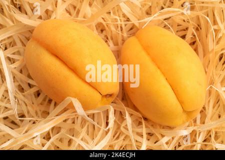 Zwei reife gelbe Ananas-Aprikosen, Makro, auf Holzschnitzeln, Draufsicht. Stockfoto