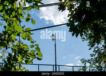 Straßenlampe gegen blauen Himmel durch das grüne Laub Stockfoto