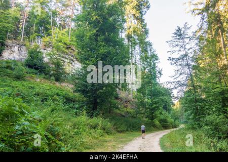 Waldbillig: Wanderer in der Kleinen Schweiz (Petite Suisse Luxembourgeoise, kleine Luxemburger Schweiz) in , Luxemburg Stockfoto