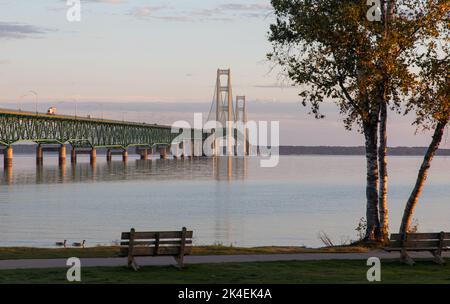 Blick auf die Mackinac Bridge vom Südufer mit einer Bank und Bäumen am Strand Stockfoto