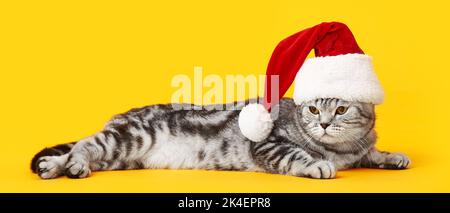 Nette lustige Katze in Santa Hut auf gelbem Hintergrund Stockfoto