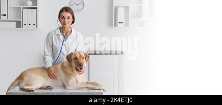 Weibliche Tierärztin Untersuchung niedlichen Hund in der Klinik. Banner für Design Stockfoto