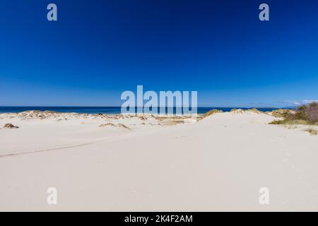 Peron Dunes in Akaroa, Tasmanien, Australien Stockfoto