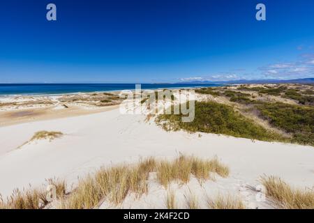 Peron Dunes in Akaroa, Tasmanien, Australien Stockfoto