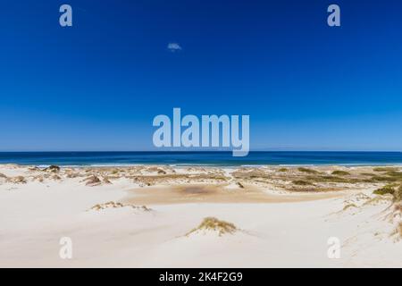 Peron Dunes in Akaroa, Tasmanien, Australien Stockfoto