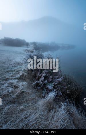 Ein magischer, frostblauer Morgen am Moke Lake in Neuseeland. Stockfoto