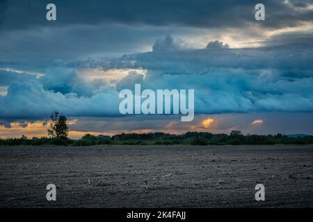 Blauer Abend wolkig Himmel über einem gepflügten Feld, September Blick im Osten Polens Stockfoto