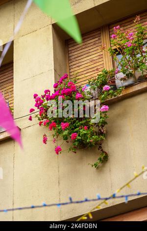 Urlaub in einer alten europäischen Stadt. Fenster eines alten Wohngebäudes mit Holzjalousien und roten Blumen, festlichen bunten Fahnen und hellem garlan Stockfoto