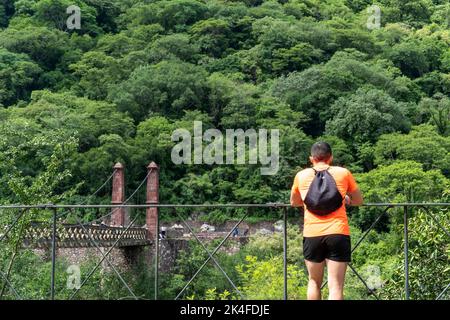 Huentitan Schlucht, Person, die die Vegetation der Schlucht betrachtet, Stahlgeländer, orangefarbenes T-Shirt, Rucksack, Bäume und Brücke, guadalajara jalisco Stockfoto