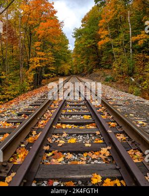 Herbstlaub Eisenbahnschienen in New England Stockfoto