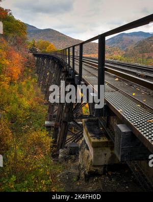 Herbstlaub Eisenbahnschienen in New England Stockfoto