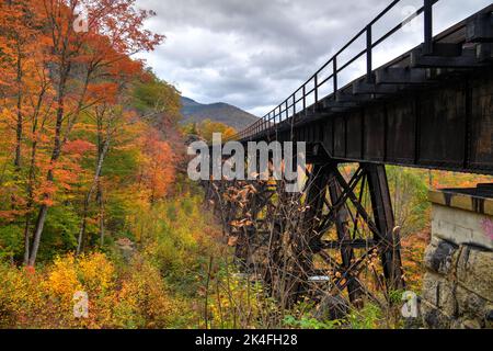 Herbstlaub Eisenbahnschienen in New England Stockfoto