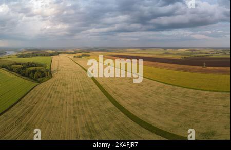Luftdrohnenaufnahme der Weizenfeldlandschaft am sonnigen Sommerabend. Stockfoto