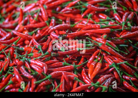 Rote Chilischoten Stockfoto