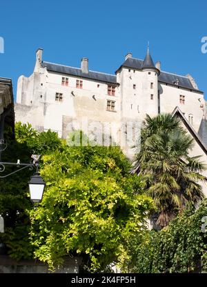 Die Royal Lodgings in Chinon Chateau von der Altstadt aus gesehen Stockfoto