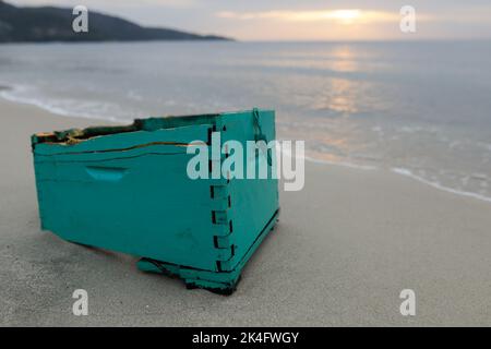 Holz, Plastik und sogar hölzerne Bienenstöcke wuschen nach einem starken Sturm an einem bewölkten Sommermorgen am Golden Beach in Thassos an Land. Stockfoto