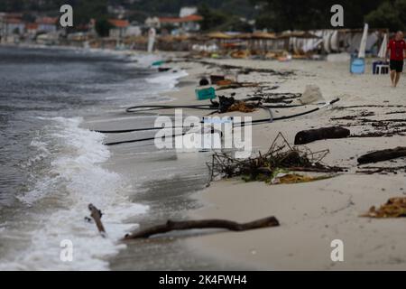 Holz, Plastik und sogar hölzerne Bienenstöcke wuschen nach einem starken Sturm an einem bewölkten Sommermorgen am Golden Beach in Thassos an Land. Stockfoto